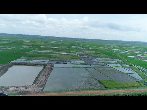 Pending Project